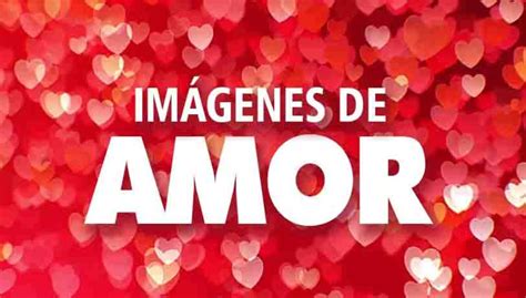 Las 10 mejores ideas e inspiración sobre amor falso imagenes.